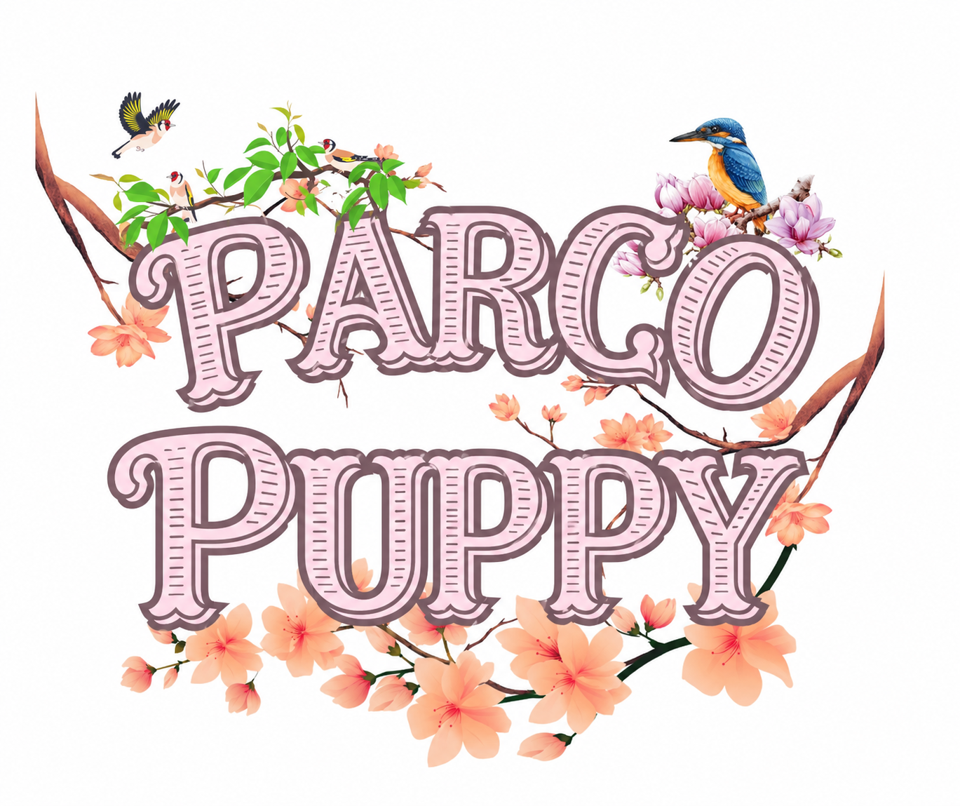 ミニチュアシュナウザーの子犬たち